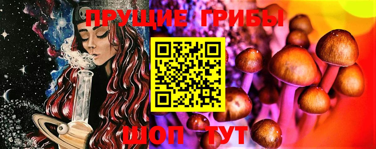 Галлюциногенные грибы GOLDEN TEACHER Кыштым